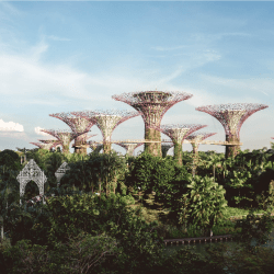 Singapore - Singapore