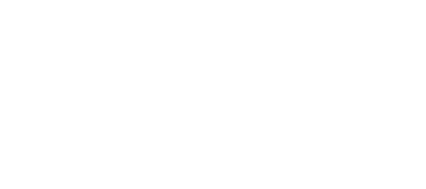 Next idol - logo
